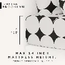 Lotus Attitude Brooklyn - QS Fitted Bedsheet Set-5pcs - LTA-BS-BROOKLYN-BR04B